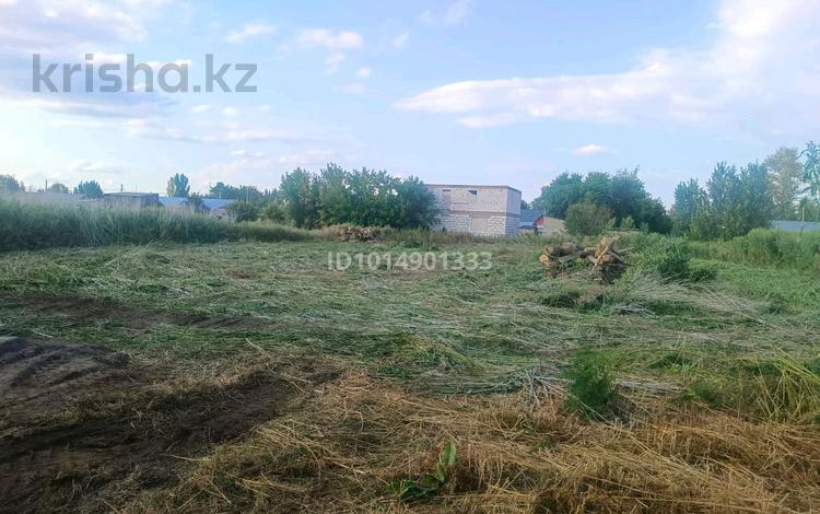 Дача · 2 комнаты · 50 м² · 38 сот., Сарыарка за 30 млн ₸ в Жибек Жолы — фото 2