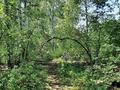 Участок · 50 соток, Озеро Караунгир за 60 млн ₸ в Бурабае — фото 3
