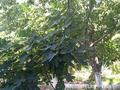Жеке үй · 7 бөлме · 155 м² · 5.6 жүзд., Намет Сулейманова, бағасы: 96 млн ₸ в Шымкенте, Аль-Фарабийский р-н — фото 34