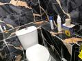 Отдельный дом · 4 комнаты · 70 м² · 10 сот., Шаңырақ 20 — Коктобе за 20 млн ₸ в Шымкенте, Енбекшинский р-н — фото 6