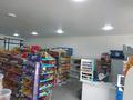 Готовый бизнес Супермаркет продуктовый, 250 м² за ~ 11.1 млн 〒 в Шымкенте, Абайский р-н — фото 10