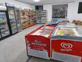 Готовый бизнес Супермаркет продуктовый, 250 м² за ~ 11.1 млн 〒 в Шымкенте, Абайский р-н — фото 7