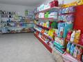 Готовый бизнес Супермаркет продуктовый, 250 м² за ~ 11.1 млн 〒 в Шымкенте, Абайский р-н — фото 8