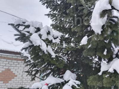 Жеке үй · 4 бөлме · 100 м² · 20 сот., Обуховская 2-2 — Церкви, бағасы: 13 млн ₸ в Серебрянске