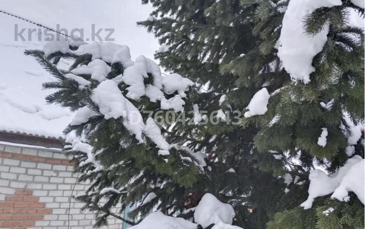 Жеке үй · 4 бөлме · 100 м² · 20 сот., Обуховская 2-2 — Церкви, бағасы: 13 млн ₸ в Серебрянске — фото 2