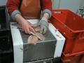 Зауыт · 35 сотық, Красный Пильщик 34 — Кошкарбаева, бағасы: 395 млн ₸ в Восточно-Казахстанской обл. — фото 32
