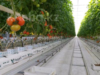Действующая теплица · 51000 м² за 2.5 млрд 〒 в 