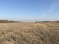 Участок · 10 га, Жаналык (Талгарский район) за 220 млн ₸ — фото 2