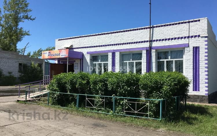Продуктовый магазин · 100 м² за 18 млн ₸ в  — фото 2