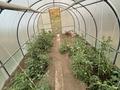 Жеке үй · 5 бөлме · 205 м² · 30 жүзд., Переулок Родниковый 3, бағасы: 93 млн ₸ в Усть-Каменогорске — фото 16