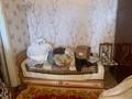 1-комнатная квартира · 34 м² · 8/10 этаж, Театральная за 110 000 ₸ в Петропавловске — фото 3