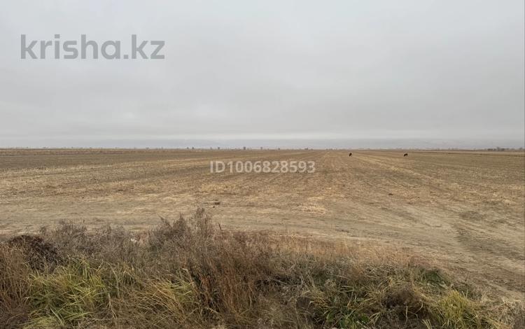 Участок · 50 га, Нет — Трасса за 45 млн 〒 в Жансугурове — фото 2