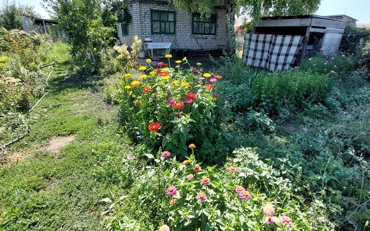 Дача · 2 комнаты · 25 м² · 10 сот., Уральская — Садовое общество Березка за 5.5 млн 〒 в  — фото 3