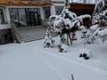 Дача · 12 комнат · 1000 м² · 25 сот., КАЗАХСТАН 15 — Туркестанская обл; Толеби район; Бургулюк за 480 млн ₸ — фото 100