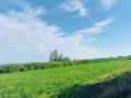 Саяжай · 4 бөлме · 90 м² · 2500 жүзд., Толе би 5 — Кажумхан ауылы, бағасы: 100 млн ₸ в  — фото 12