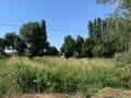 Саяжай · 4 бөлме · 90 м² · 2500 жүзд., Толе би 5 — Кажумхан ауылы, бағасы: 100 млн ₸ в  — фото 17
