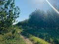 Саяжай · 4 бөлме · 90 м² · 2500 жүзд., Толе би 5 — Кажумхан ауылы, бағасы: 100 млн ₸ в  — фото 20