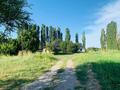 Саяжай · 4 бөлме · 90 м² · 2500 жүзд., Толе би 5 — Кажумхан ауылы, бағасы: 100 млн ₸ в  — фото 2
