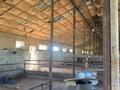 Саяжай · 4 бөлме · 90 м² · 2500 жүзд., Толе би 5 — Кажумхан ауылы, бағасы: 100 млн ₸ в  — фото 8