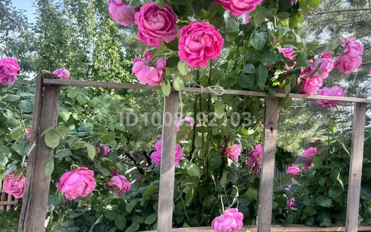 Жеке үй · 4 бөлме · 145 м² · 6 сот., мкр Томирис, Шаймерденова 28, бағасы: ~ 50 млн ₸ в Алматы, Алатауский р-н — фото 4