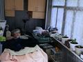 2-комнатная квартира · 48.3 м² · 1/5 этаж, Ярослава Гашека 2б — парк победы за 16.5 млн ₸ в Петропавловске — фото 2