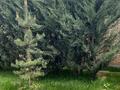 Отдельный дом · 8 комнат · 506 м² · 11 сот., М-н Курамыс 28 — ул. Балбырауын за 355 млн ₸ в Алматы, Бостандыкский р-н — фото 54