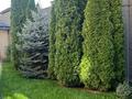 Отдельный дом · 8 комнат · 506 м² · 11 сот., М-н Курамыс 28 — ул. Балбырауын за 355 млн ₸ в Алматы, Бостандыкский р-н — фото 61