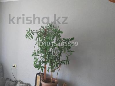 3-бөлмелі пәтер · 59 м² · 2/5 қабат, Комсомольский 16, бағасы: 16 млн ₸ в Рудном