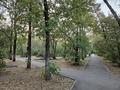 2-комнатная квартира · 45 м² · 3/4 этаж, мкр №4 4 — ТРЦ MOSKVA за 350 000 ₸ в Алматы, Ауэзовский р-н — фото 19