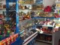 Магазины и бутики • 170 м² за 35 млн 〒 в Шамалгане — фото 4