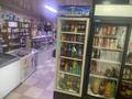 Отдельный дом · 3 комнаты · 80 м² · 12 сот., Школьная 25 за 30 млн ₸ в Остемире — фото 12
