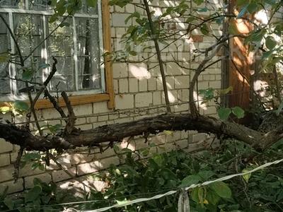 Дача · 1 комната · 35 м² · 7 сот., мкр Омега, Вишенка-1, ул. Тупиковая 190 за 5 млн ₸ в Уральске