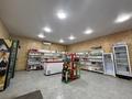 Свободное назначение · 85.1 м² за 12 млн ₸ в Балхаше — фото 3