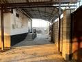 Отдельный дом · 4 комнаты · 260 м² · 12 сот., Жанадаур, Таттимбета 3 за 48 млн ₸ в Алатау — фото 21
