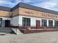 Кафе Салтанат · 610 м² за 40 млн ₸ в Сарыколе — фото 2