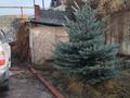Отдельный дом · 6 комнат · 480 м² · 11 сот., мкр Карагайлы за 1.2 млн ₸ в Алматы, Наурызбайский р-н — фото 26