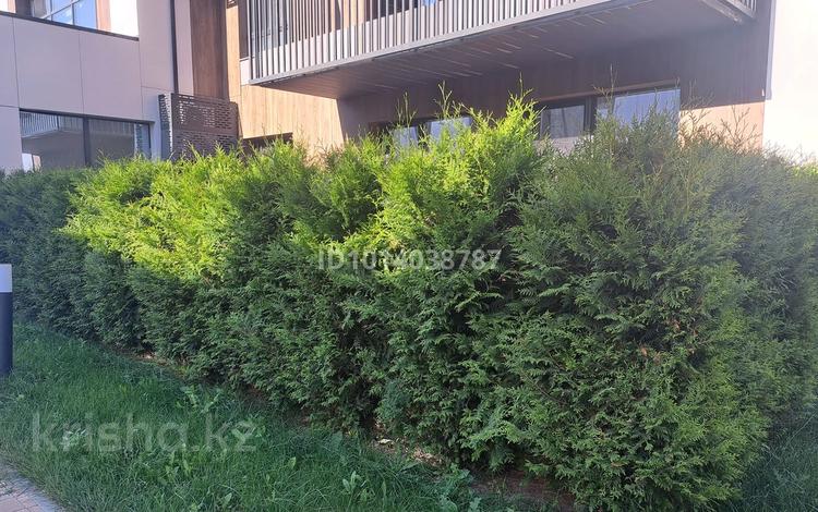 3-бөлмелі пәтер · 76.6 м² · 1/3 қабат, Нұр Алатау ш/а., К.Салыкова 48/21, бағасы: 89 млн ₸ в Алматы, Бостандыкский р-н — фото 2