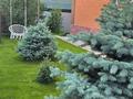 Отдельный дом · 5 комнат · 175 м² · 7 сот., Орбулак 3А за 125 млн ₸ в  — фото 40