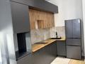 2-комнатная квартира · 47 м² · 6/12 этаж, мкр Дарабоз — Алматы Арена за 250 000 ₸ в Алатауский р-н — фото 3