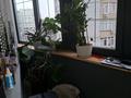5-комнатная квартира · 130 м² · 5/10 этаж, мкр Каргалы, Кенесары хана за 95 млн ₸ в Алматы, Наурызбайский р-н — фото 33