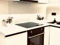 2-комнатная квартира · 50 м² · 13/16 этаж, Каныша Сатпаева 133/1 — Сатпаева угол Тлендиева за 30 000 ₸ в Алматы, Бостандыкский р-н — фото 10