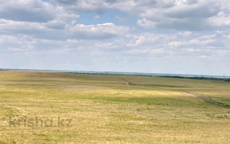Жер телімі · 93 га, Трасса Астана Караганда, бағасы: 120 млн ₸ в Алматы р-н — фото 14