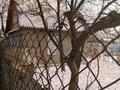 Дача · 2 комнаты · 36 м² · 5.5 сот., жилой массив Кайнар Булак, Сиреневая 55 — Сиреневая - транспортная за 10.5 млн ₸ в Шымкенте, Абайский р-н — фото 6