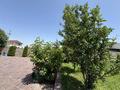 Жеке үй · 4 бөлме · 270 м² · 15 сот., мкр Нур Алатау — Tamos Education School, бағасы: 445 млн ₸ в Алматы, Бостандыкский р-н — фото 20