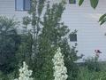 Отдельный дом · 3 комнаты · 135 м² · 6 сот., Потанина 276б за 75 млн ₸ в Алматы, Турксибский р-н — фото 4