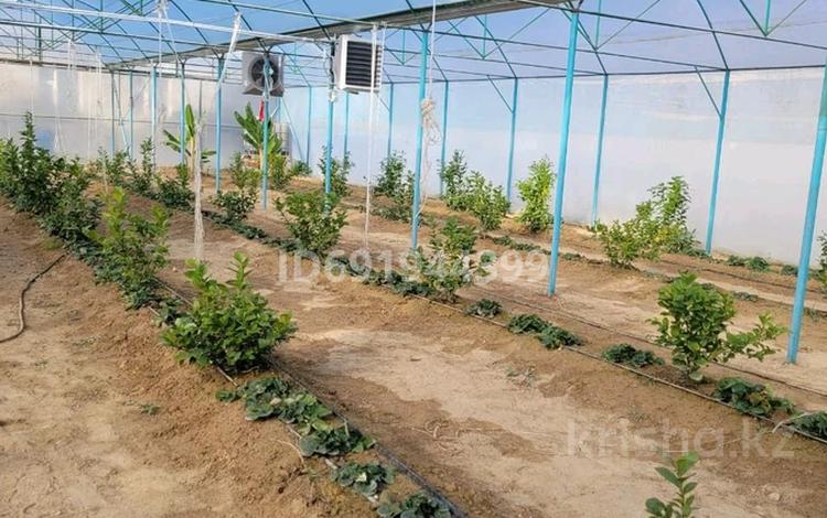 Теплица и Цех сатылады дайын бизнес. · 450 м² за 18 млн ₸ в Жанаозен — фото 3