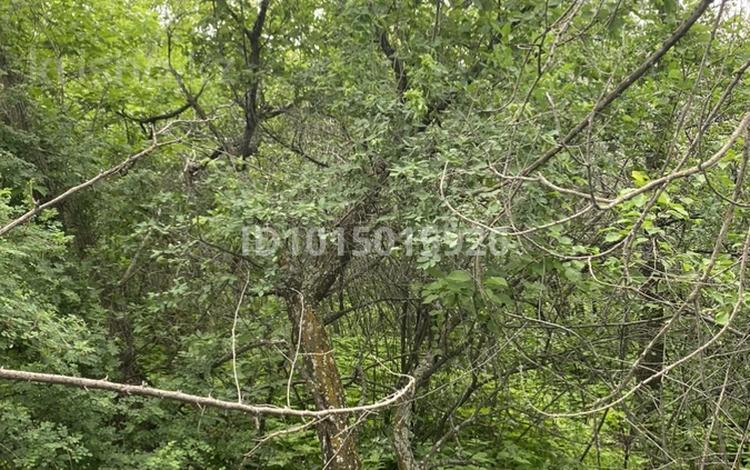 Участок · 8 соток, Каргалы (п. Фабричный) за 800 000 ₸ — фото 2