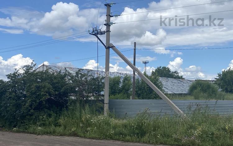 Ауыл шаруашылығы · 1000 м², бағасы: 30 млн ₸ в Абае — фото 2