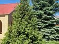 Отдельный дом · 5 комнат · 320 м² · 9 сот., Кск мкр за 160 млн 〒 в Костанае — фото 73