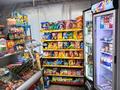 Действующий прибыльный бизнес-продуктовый магазин · 54 м² за 25 млн ₸ в Усть-Каменогорске — фото 2